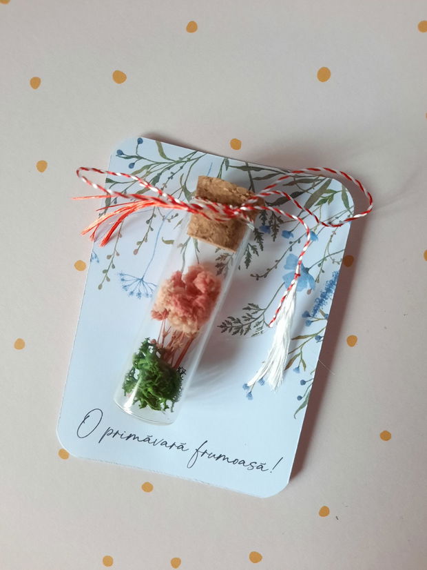 Martisor in sticluta. Martisor cu flori uscate si licheni. Martisor handmade