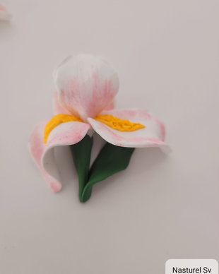 Brosa martisor: Iris
