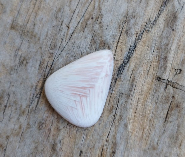 Cabochon scolecit, 22x19 mm