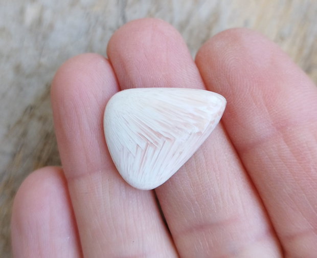 Cabochon scolecit, 22x19 mm