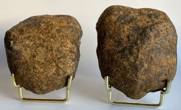 Septaria - specimen pereche piatra bruta