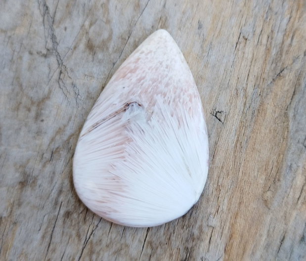 Cabochon scolecit, 40x27 mm