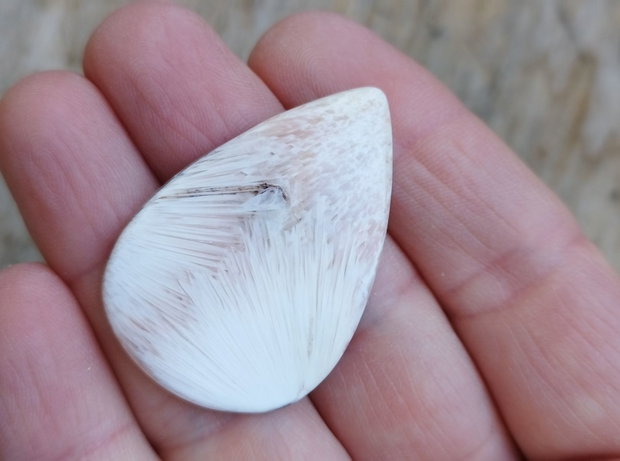 Cabochon scolecit, 40x27 mm