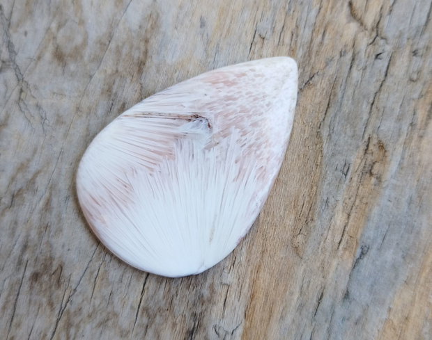 Cabochon scolecit, 40x27 mm