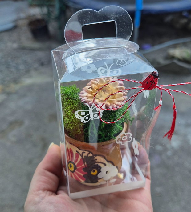 Martisor licheni cana