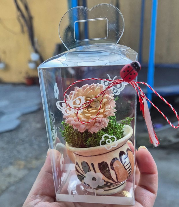 Martisor licheni cana