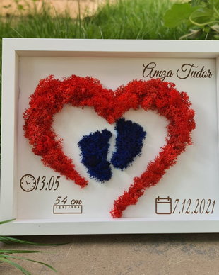 Tablou personalizat bebe