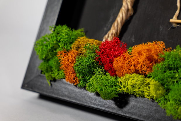 Ramă Foto Copacul cu Leagăn Decor cu Licheni Naturali, 25x30 cm
