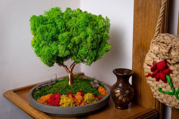 Copac 360° cu Licheni Naturali  Decor în Vas Ceramic, 25x22 cm