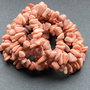 Lchips 52 - chips coral roz