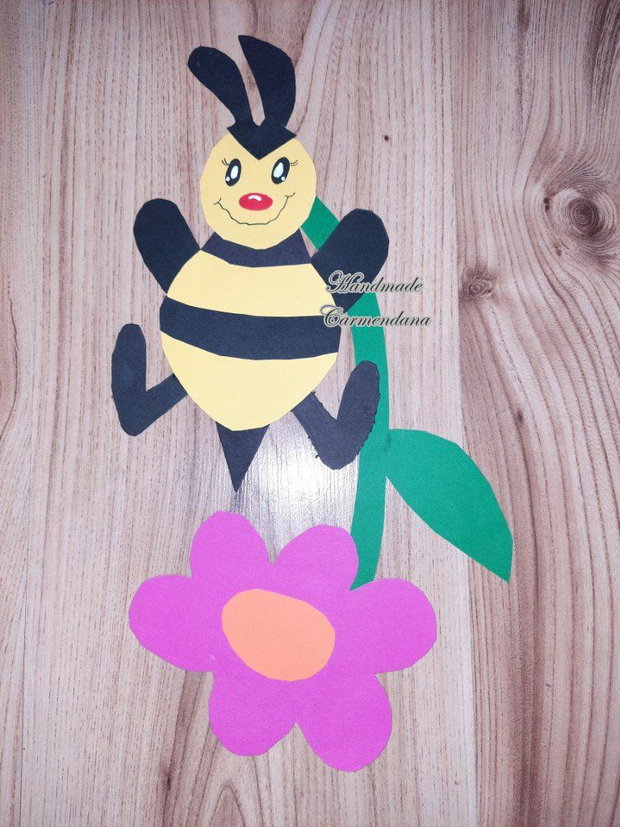 Decoratiune pavoazare clasa