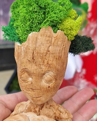 Vaze decorative Groot cu licheni