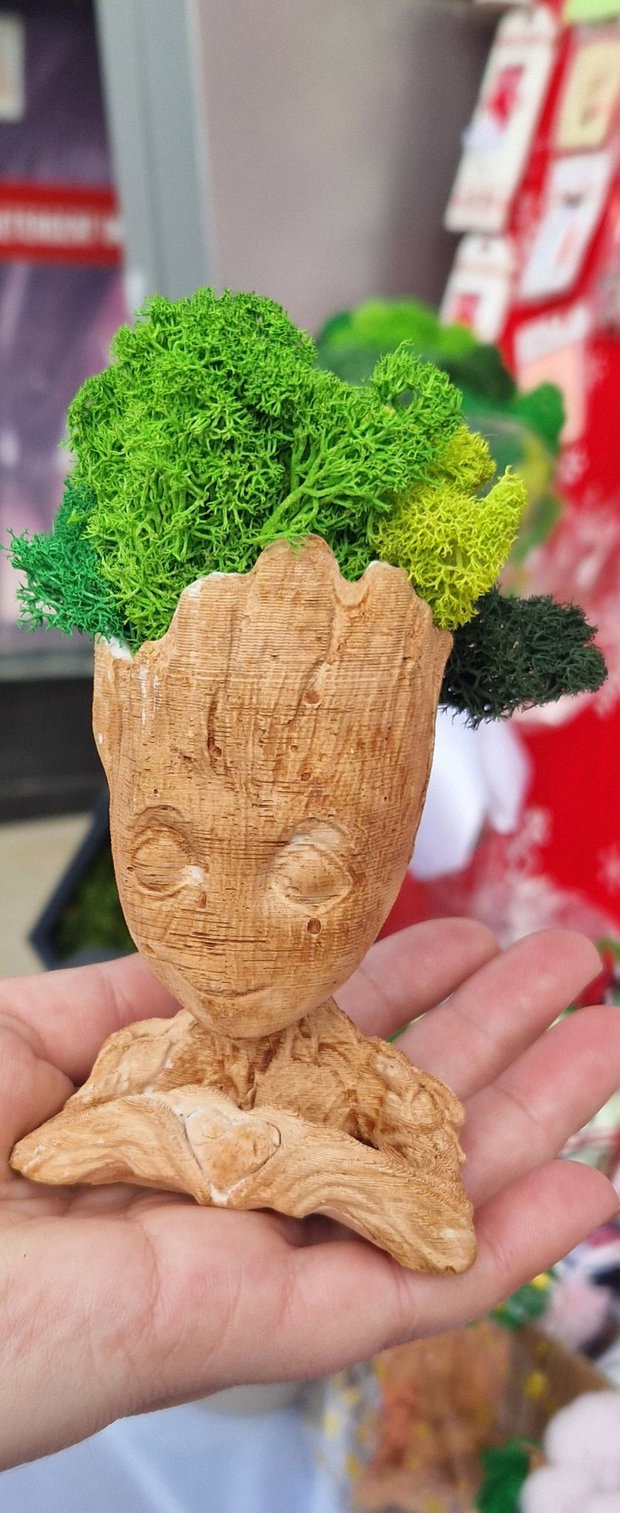 Vaze decorative Groot cu licheni