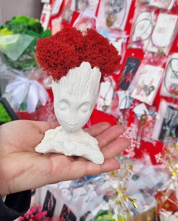 Vaze decorative Groot cu licheni