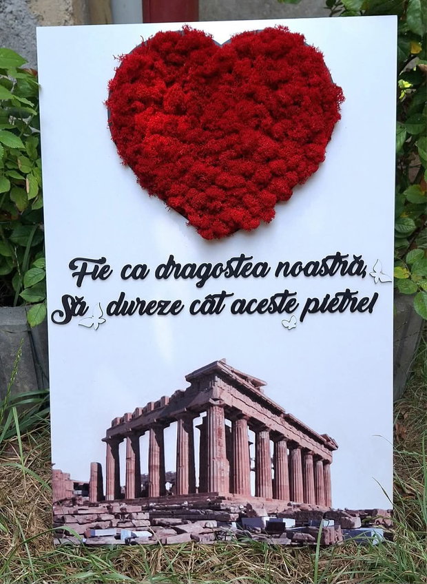 Tablou personalizat cu licheni