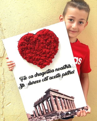 Tablou personalizat cu licheni