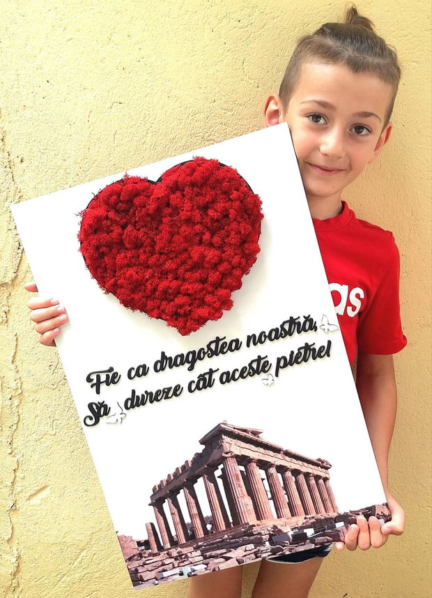 Tablou personalizat cu licheni
