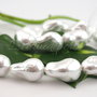 Perle seashell (1)