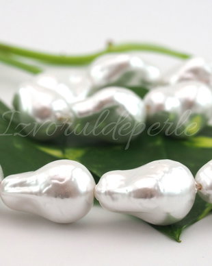 Perle seashell (1)