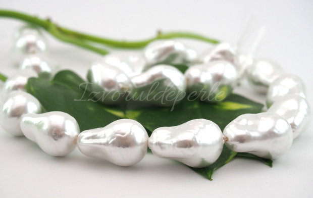 Perle seashell (1)