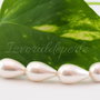 Perle seashell 17/20x10.5mm  (1)