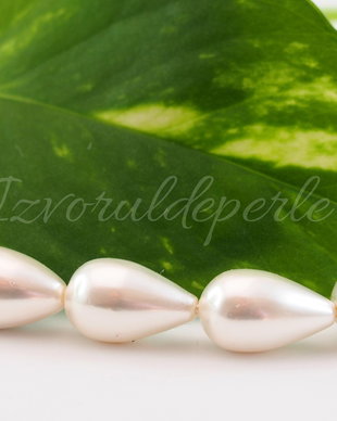 Perle seashell 17/20x10.5mm  (1)