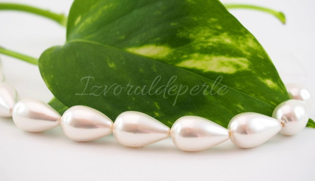 Perle seashell 17/20x10.5mm  (1)