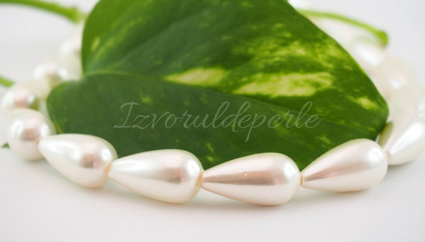 Perle seashell 17/20x10.5mm  (1)