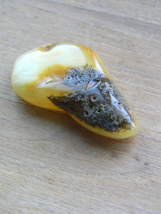Chihlimbar slefuit (F21-1)