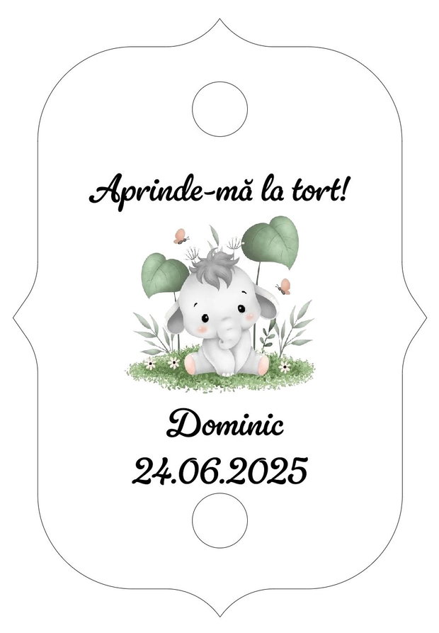 Eticheta artificii tort botez/Onomastica/ Artificii tort cu eticheta personalizata