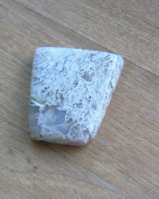 Caboson moss agat (F21-1)
