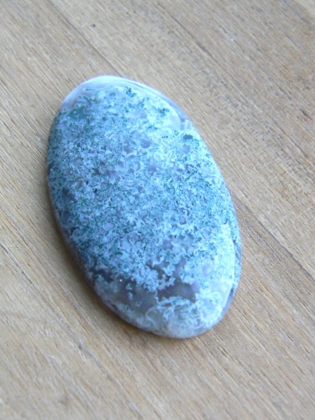 Caboson moss agat (F21-1)