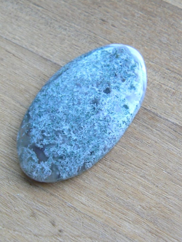 Caboson moss agat (F21-1)