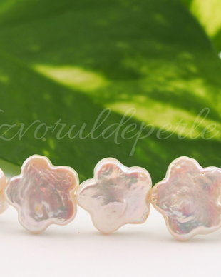 Perle cultura 11.5-13mm, cod PA03 (1)