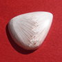 Scolecit cabochon aprox 22.7x19x4 mm