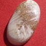 Scolecit cabochon aprox 28x14.5x5 mm