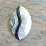 Pandantiv paua abalone shell, 53x34 mm