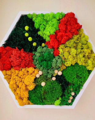 Tablou cu licheni în ramă hexagonală