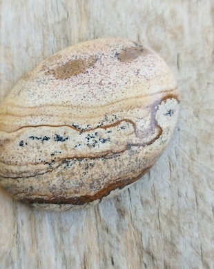 Cabochon picture jasper, 40x30 mm