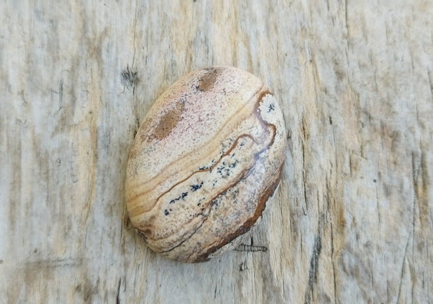 Cabochon picture jasper, 40x30 mm