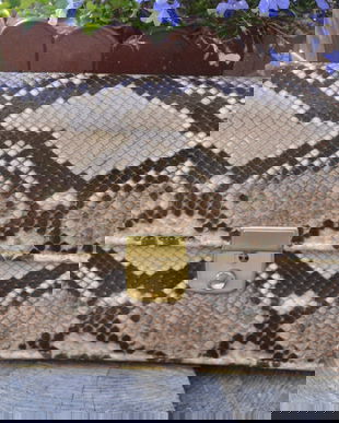 Geanta din piele de sarpe