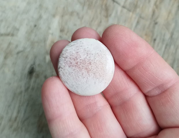 Cabochon scolecit, 30 mm
