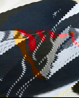 Aplicatie brodata -cu adeziv