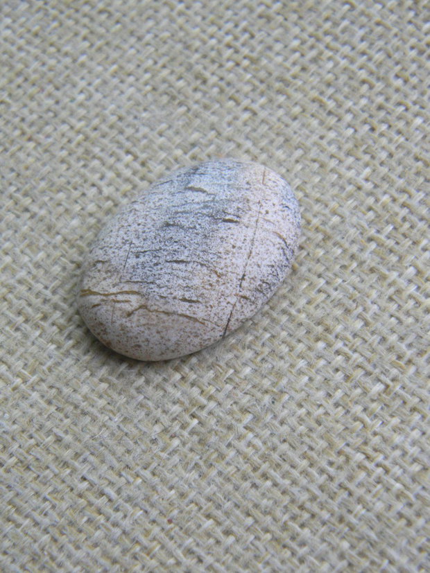 Caboson picture jasper (C25)