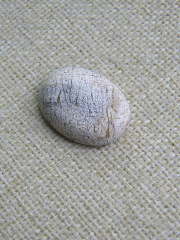 Caboson picture jasper (C25)