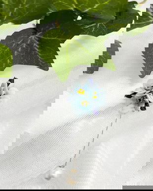 Pin: Flori de nu ma uita