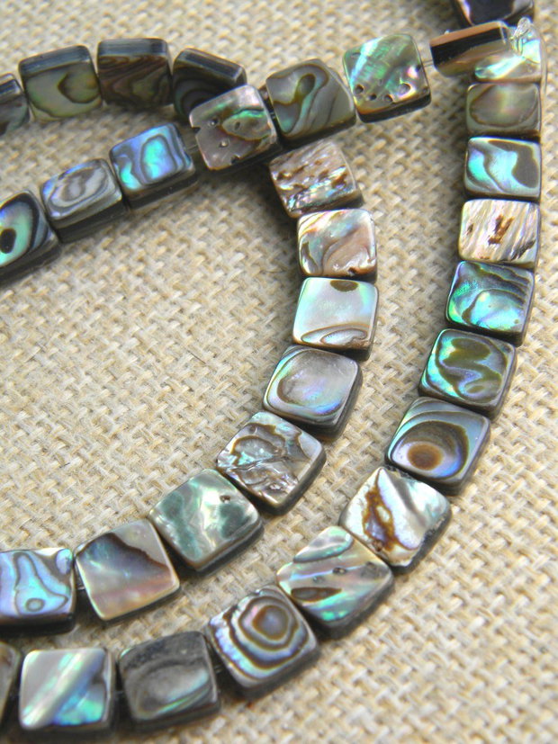 Margele Paua Shell (M20)