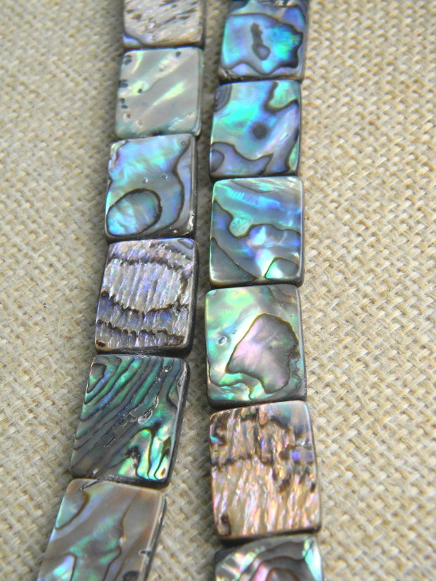 Margele Paua Shell (M20)