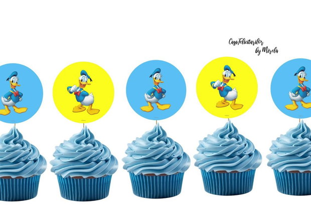 Plicuri bani botez Donald Duck