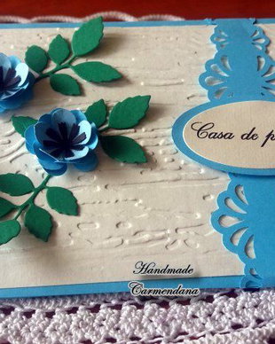 Plic de bani / felicitare